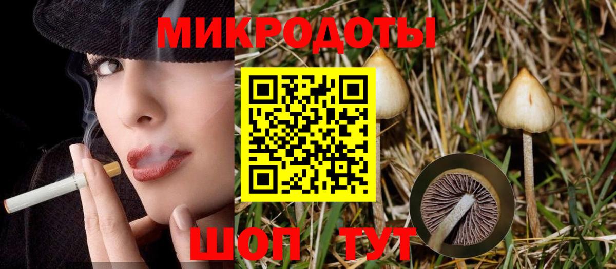 Тулун  Псилоцибиновые грибы мухоморы  Вход с VPN 